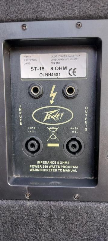 Speakers Peavey ST-15, Audio, Tv en Foto, Gebruikt, 120 watt of meer, Front, Rear of Stereo speakers, Ophalen