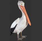 Pelican Standing – Pelikaan beeld Hoogte 91 cm, Ophalen, Nieuw