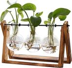 Plantenterrarium met houten standaard | GRATIS LEVERING, Envoi, Autres espèces