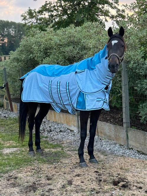 Vliegendekens, Dieren en Toebehoren, Paarden en Pony's | Dekens en Dekjes, Gebruikt, Deken, Ophalen