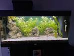 Aquarium Aquatlantis 200 litres, Utilisé