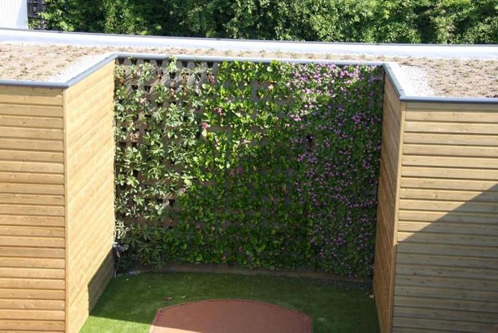 tuinmuren, groene gevel, plantenmuur, planten, bloemen, Tuin en Terras, Tuinschermen, Nieuw, Overige materialen, Ophalen