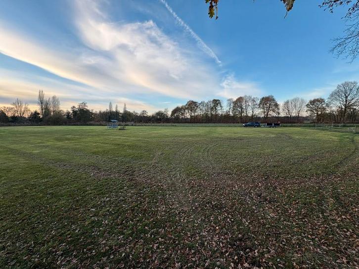 Opfok veulens /jonge paarden, Dieren en Toebehoren, Stalling en Weidegang, Opfok