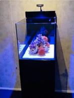 Aquarium Waterbox Nieuw!!! Niet Gebruikt!!!, Ophalen, Zo goed als nieuw