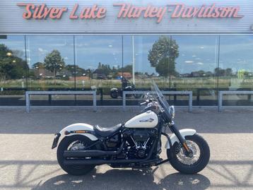 Harley-Davidson Softail Slim (bj 2019) beschikbaar voor biedingen