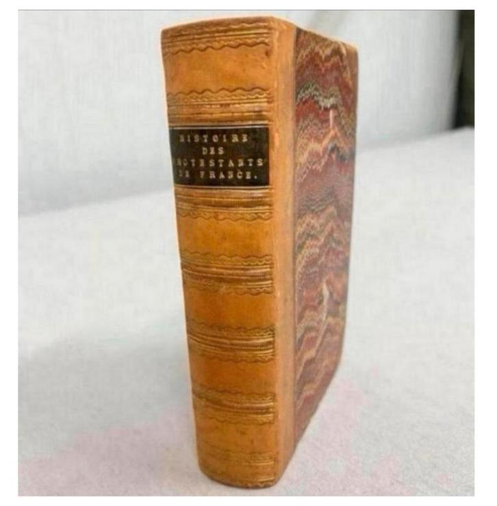 G. de Félice HISTOIRE DES PROTESTANTS DE FRANCE - 1850 oud, Antiek en Kunst, Antiek | Boeken en Manuscripten, Ophalen of Verzenden