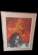 Robert Berghmans "het vrouwelijk brein"., Enlèvement