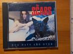 Cd - The Scabs - Dog days are over, Comme neuf, Enlèvement ou Envoi