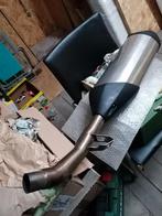 Pot d échappement pour tiger 1200 de 2015, Enlèvement, Utilisé