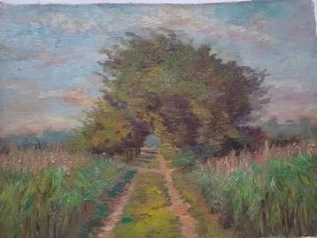 Schilderdoeken M.VAN DEN BEMPT  beschikbaar voor biedingen