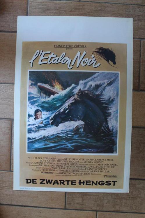filmaffiche The Black Stallion 1979 filmposter, Collections, Posters & Affiches, Comme neuf, Cinéma et TV, A1 jusqu'à A3, Rectangulaire vertical