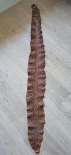 Slangen huid, Dieren en Toebehoren