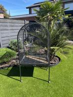 Papegaaikooi, Dieren en Toebehoren, Papegaai
