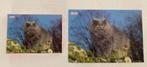 Puzzel 500 st, Hobby en Vrije tijd, Ophalen of Verzenden, 500 t/m 1500 stukjes, Gebruikt, Legpuzzel