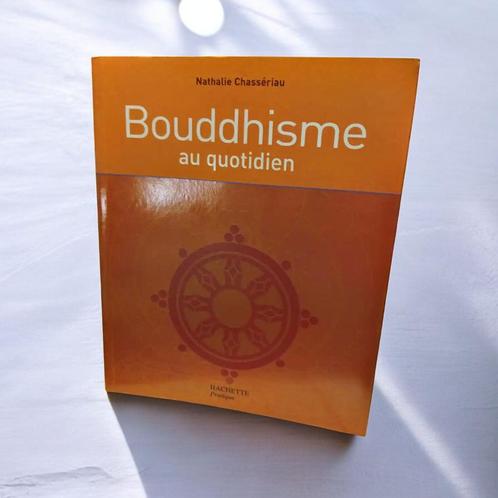 Guide Pratique du Bouddhisme au Quotidien, Boeken, Godsdienst en Theologie, Zo goed als nieuw, Boeddhisme, Ophalen of Verzenden