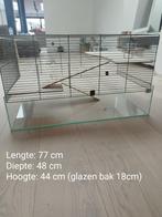 Hamsterkooi, Dieren en Toebehoren, Ophalen, Kooi, Gebruikt, 60 tot 90 cm