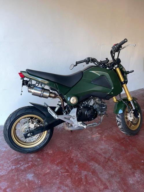 Honda MSX 125 – Racing Green, Motoren, Motoren | Honda, Particulier, Ophalen