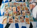 Oude prentjes kwatta choco, Verzamelen, Foto's en Prenten, Verzenden