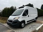 Fiat Ducato / Koelwagen / 43000 km / Carrier / 2015, Voorwielaandrijving, Stof, Zwart, Wit