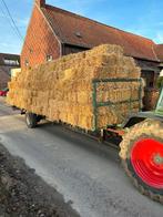 Kleine pakjes hooi deze avond geperst in Meldert, Dieren en Toebehoren, Merrie, Zadelmak
