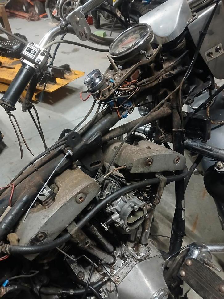 Gezocht harley, Motoren, Motoren | Harley-Davidson, Particulier, Chopper, Ophalen