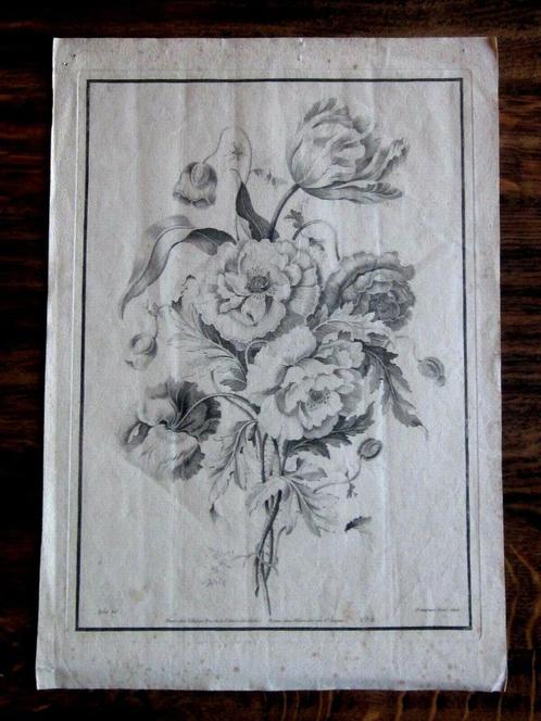 Grande gravure Fleurs XVIIIème Tessier / Demarteau Botanique, Antiquités & Art, Art | Eaux-fortes & Gravures, Enlèvement ou Envoi