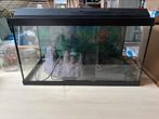 Aquarium Juwel 60 l, Dieren en Toebehoren, Ophalen, Gebruikt, Leeg aquarium