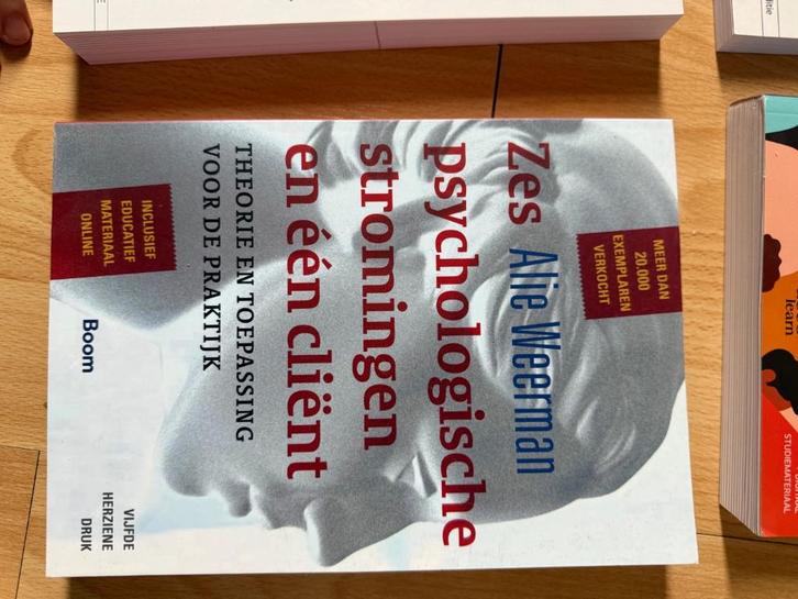 Boeken Orthopedagogie, Boeken, Studieboeken en Cursussen, Zo goed als nieuw, Hogeschool, Ophalen
