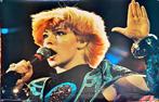 Posters Toyah, Rechthoekig Staand, Deurposter of groter, Ophalen of Verzenden, Zo goed als nieuw