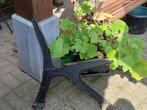 tuinbank met zwaar gietijzeren onderstel, Tuin en Terras, Tuinbanken, Ophalen, Zo goed als nieuw, Hout