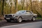 Ford Mustang 289 Coupé 302cu V8 MANUEEL 4spd Roestvrij, Cuir, Propulsion arrière, Achat, Radio