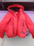 Winter jas, Kleding | Dames, Wintersportkleding, Ophalen, Zo goed als nieuw