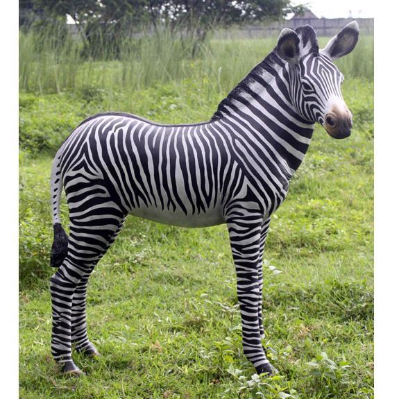 Zebra Veulen beeld - Hoogte 110 cm, Verzamelen, Dierenverzamelingen, Nieuw, Ophalen