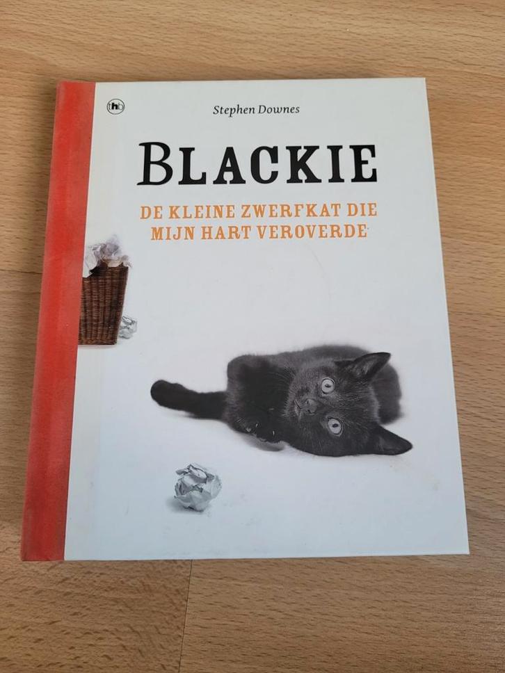 Stephen Downes - Blackie, Boeken, Romans, Zo goed als nieuw, Ophalen of Verzenden