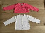 Gilets meisje maat 92 (nieuw!), Ophalen of Verzenden, Nieuw, Meisje