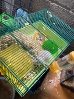 Kooi hamster langharig, Dieren en Toebehoren, Ophalen, Zo goed als nieuw, Kooi, Hamster