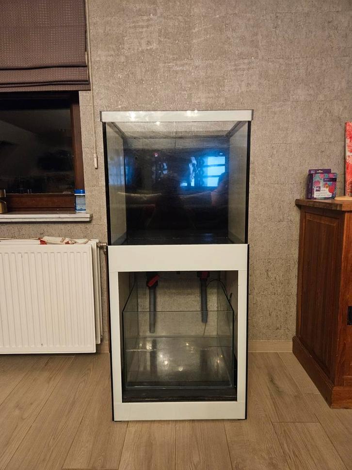 Zeer net lacobel afgewerkt zee aquarium, Dieren en Toebehoren, Vissen | Aquaria en Toebehoren, Ophalen