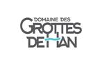 4 tickets grotten van han