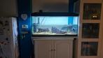 Aquarium met verlichting en scheepswrak, Dieren en Toebehoren, Vissen | Aquaria en Toebehoren, Ophalen of Verzenden, Gebruikt