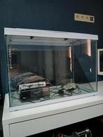 Aquarium zoetwater te koop, Dieren en Toebehoren, Ophalen, Zo goed als nieuw