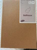 BB-collection, Balthazar nachtlampje, Kinderen en Baby's, Ophalen, Nieuw