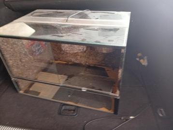 Terrarium met decoratie en lamp  beschikbaar voor biedingen