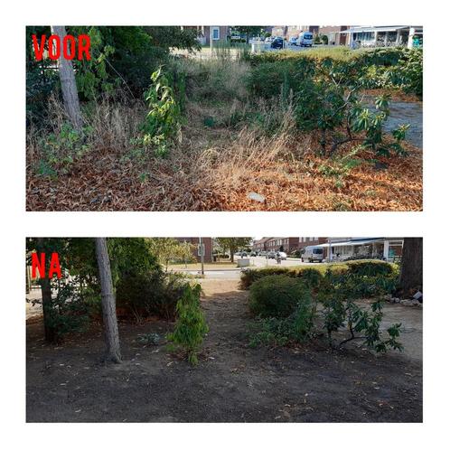 Tuinman voor al uw klusjes, Vacatures, Vacatures | Landbouw, Natuur en Milieu