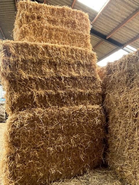 grote balen stro, Animaux & Accessoires, Nourriture pour Animaux, Enlèvement