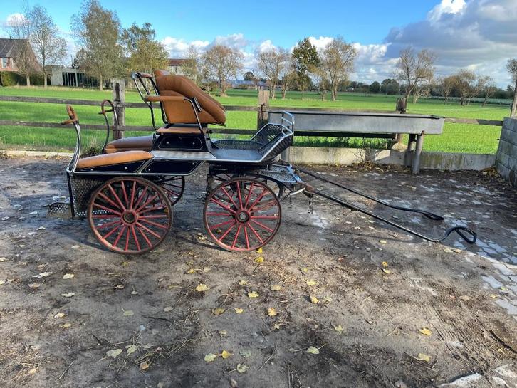 Koets en tuig, Dieren en Toebehoren, Rijtuigen en Koetsen, Gebruikt, Marathonwagen, Paard of Pony