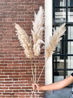 Pampas pluimen, Huis en Inrichting, Ophalen