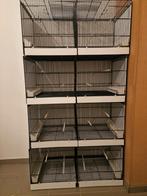 Nog 3 kweekkooien van Domus Molinaris 90/40/40 over. Staat, Ophalen of Verzenden, Zo goed als nieuw