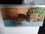 artis-historia dieren uit alle landen met wikkel, Boeken, Ophalen of Verzenden, Gelezen, Prentenboek