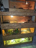 Terrarium, Animaux & Accessoires, Reptiles & Amphibiens | Accessoires, Enlèvement