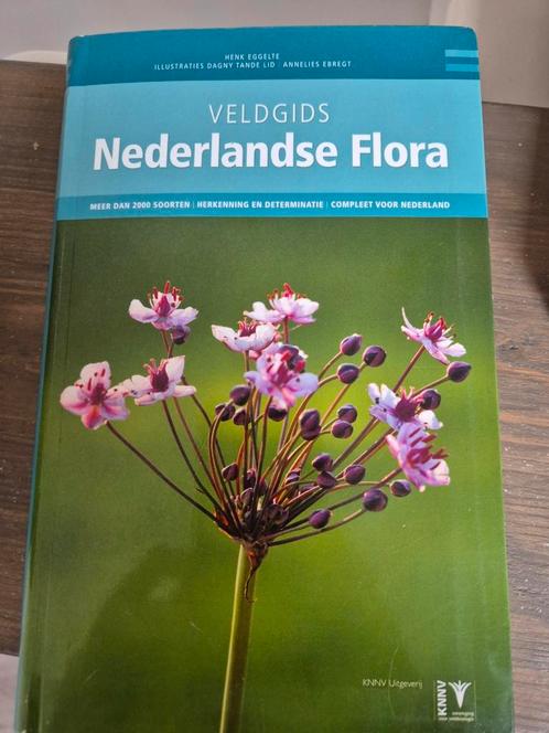 Henk Eggelte - Veldgids Nederlandse flora, Boeken, Natuur, Zo goed als nieuw, Ophalen